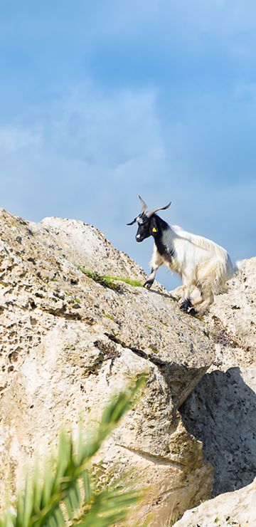 La storia della Sicilia