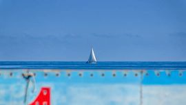 Barca a vela al largo del golfo di Palermo
