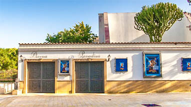 Il cinema sotto le stelle