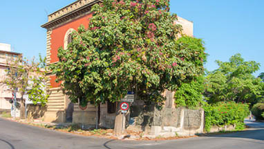 Santa Flavia - Villa Basile
