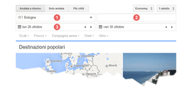 Google Ricerca Voli - Partenza e destinazione