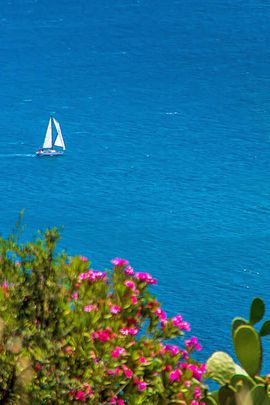 View from the terrace of a holiday apartment in Bagheria/Mongerbino