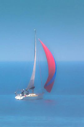 Racing sailboat early in the morning near Bagheria/Mongerbino