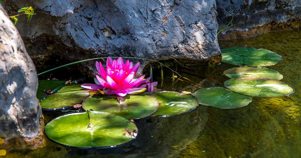 Sizilien + Die Madonien Bergdörfer, Wanderpfade, Adlerfelsen