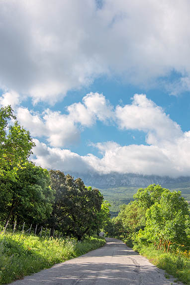 Sizilien - Landschaft - Ficuzza - Landstrasse