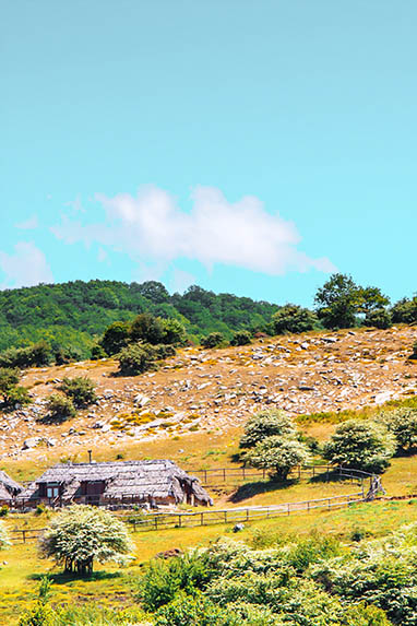 Sizilien - Landschaft - Vogelbeobachtung in den Madonien