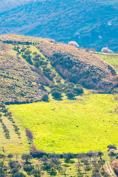 Sizilien - Cefalà Diana - Wiese