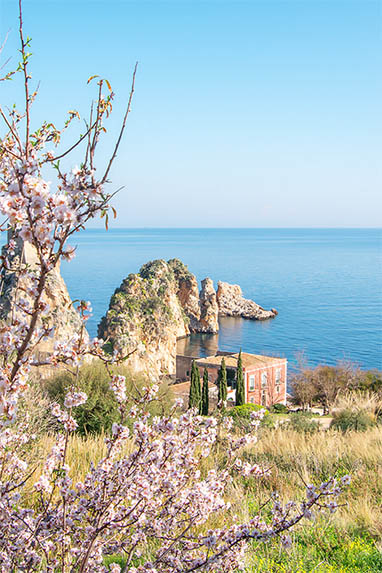 Sizilien - Scopello - Mandelbaum