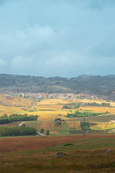 Sizilien - Piana degli Albanesi - Felder