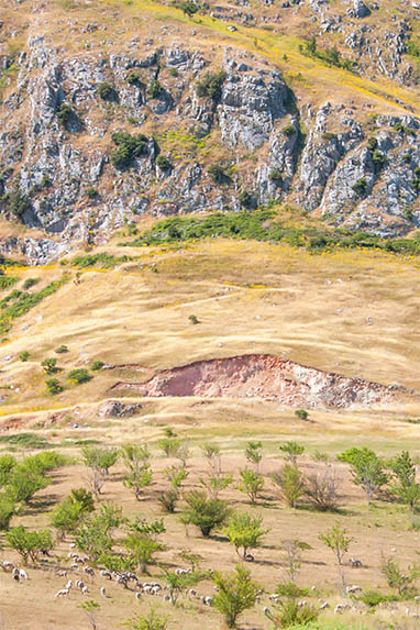 Sizilien - Piana degli Albanesi - Schafherde