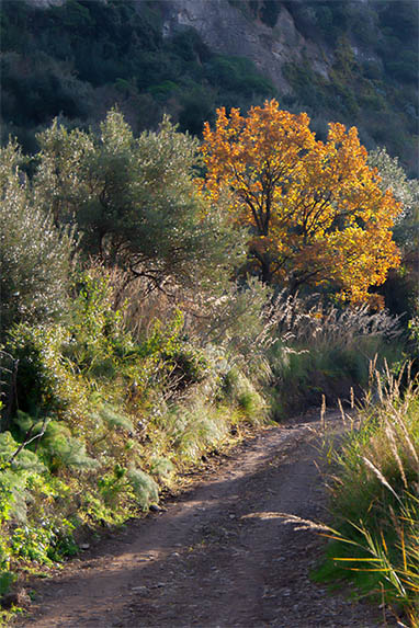 Sizilien - Sclafani Bagni - Weg zur Heilquelle