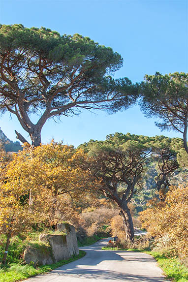 Sizilien - Sclafani Bagni - Landstrasse