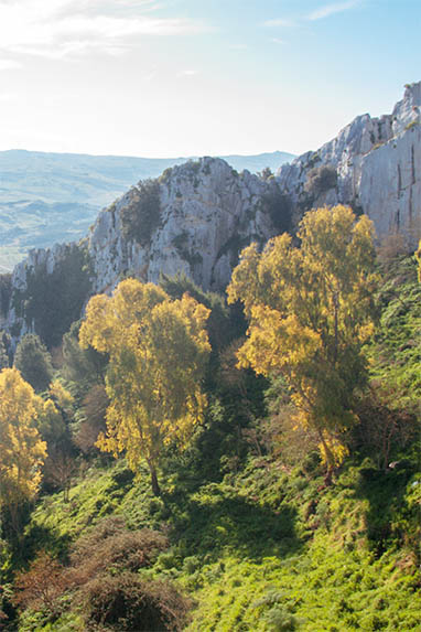 Sizilien - Sclafani Bagni - Wälder