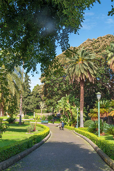 Sizilien - Palermo - Englischen Garten - Palmen
