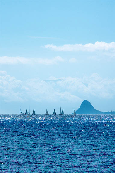 Sizilien - Mondello - Segelregatta