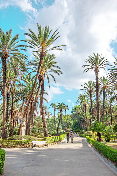 Sizilien - Palermo - Palmen in der Villa Bonanno