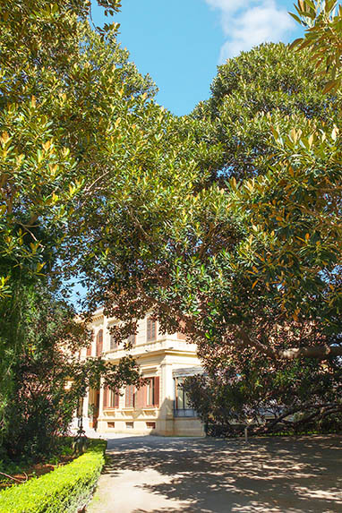 Sizilien - Palermo - Villa Malfitano - Feigenbäume