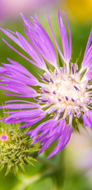 Überwintern auf Sizilien