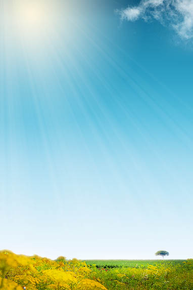 Sizilien ☀+ Winterurlaub und Überwintern - xxxxx