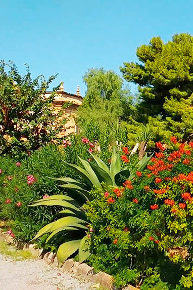 Sizilien - Bagheria - Bäume im Garten der Villa Palagonia