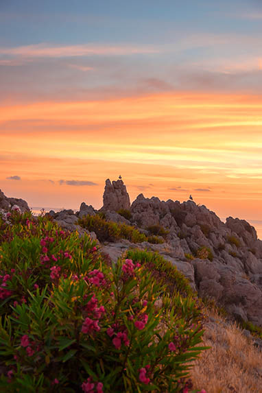 Sizilien - Santa Flavia/Sant'Elia - Möwen im Sonnenaufgang