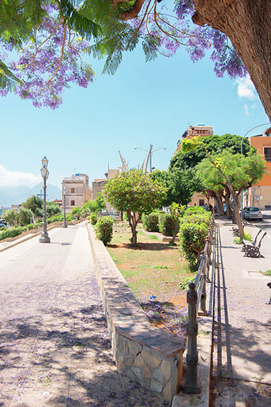 Sizilien - Porticello - Grüne Insel in der Alstadt